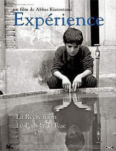 五对夫妻的婚后感