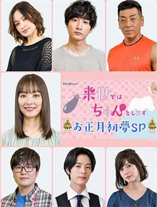 傅总,太太又在征婚了