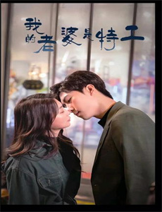 半路夫妻暖心年